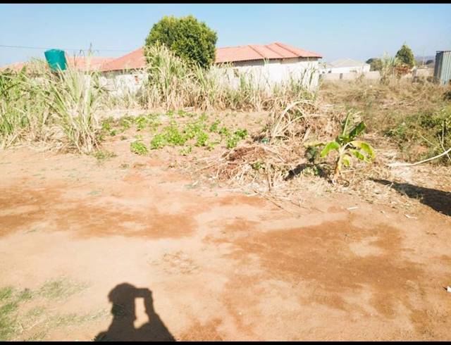 LAND FOR SALE IN MANKWENG